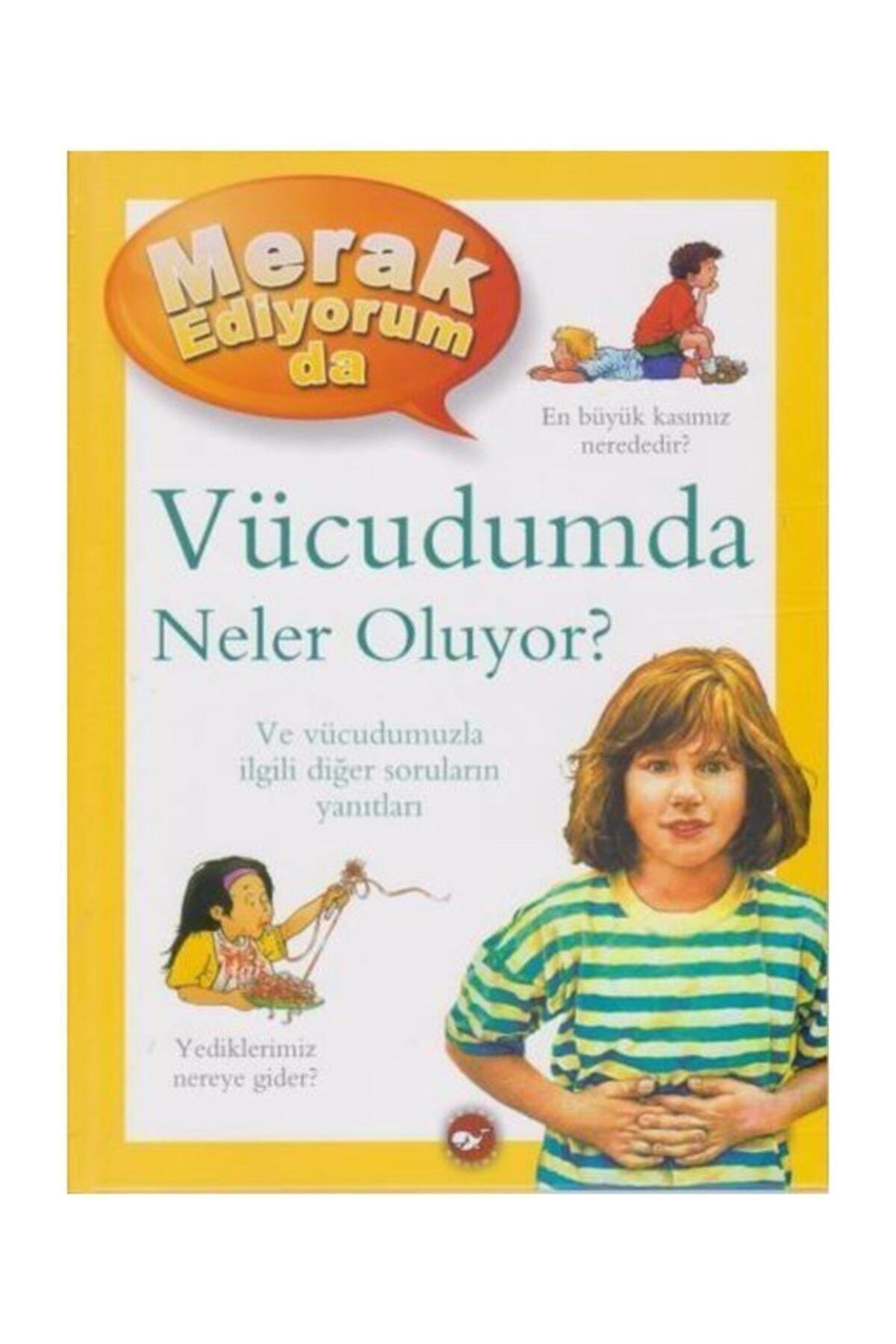 Merak Ediyorum Da Vücudumda Neler Oluyor?