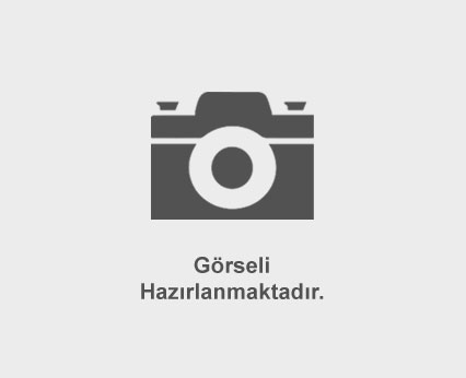 Scooter’ım Olsaydı