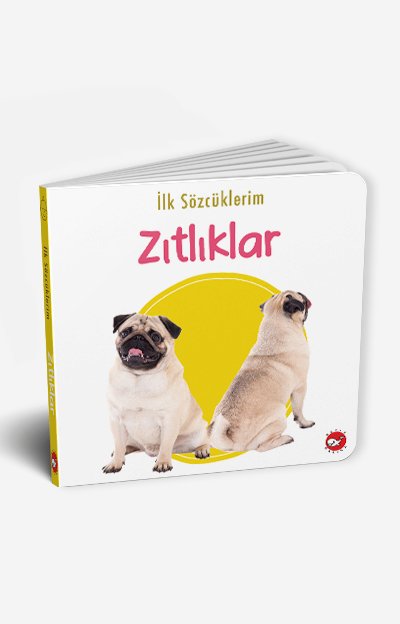 İlk Sözcüklerim - Zıtlıklar